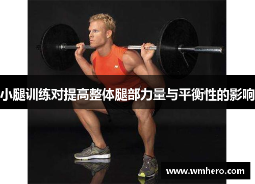 小腿训练对提高整体腿部力量与平衡性的影响